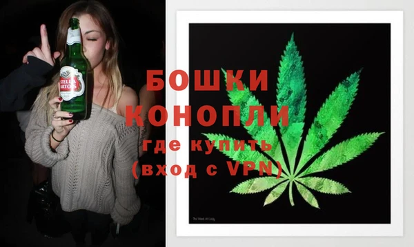 ПСИЛОЦИБИНОВЫЕ ГРИБЫ Бородино