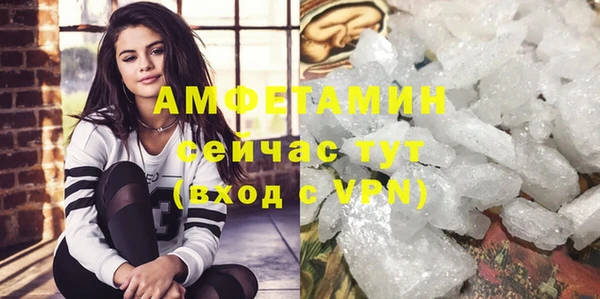 ПСИЛОЦИБИНОВЫЕ ГРИБЫ Бородино